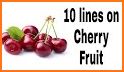 Fruit Lines Trick related image
