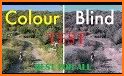 Eye Vision Deficiency: Color Blindness Tests related image