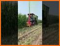 Crops Harvest related image