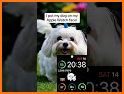 I love my Dog Watch Face related image