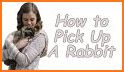 Rabbit Up! related image