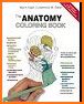 Anatomy Coloring Book - Anatomy Coloring Pages related image