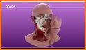 Plastic Face 3D related image