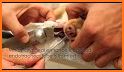 Veterinary Emergency Medicine Small Animal related image