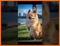 Snap Ins camera related image
