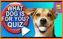 Dog Breed Quiz related image