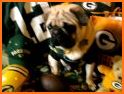 Pug Packer related image