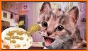 Crazy Kitty Cat Salon & Kitty Daily Activity Game related image