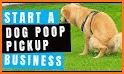 Scoopers -  Pet Clean Up Services related image