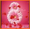 Happy Womens Day 2021 : Wishes, Cards & Images Gif related image