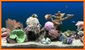 Aquarium Live Wallpaper related image