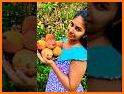 Youtaste - Order Food related image