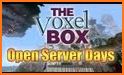 Voxel Box related image