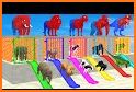 Cube Slide : Animals related image