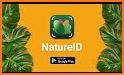 NatureID: Identify plant, flower, tree, cat & dog! related image