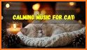 ReS48 - Cute Autumn Cats related image