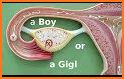 Boy or girl - gender predictor. Plan baby's sex! related image