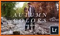 Warm Autumn - My Mobile Colors related image