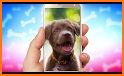 Puppies Live Wallpaper related image
