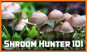 Mushrooms app related image