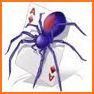 Spider Solitaire : card game related image