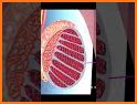 Penis Anatomy Encyclopedia related image
