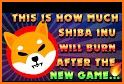 Shiba Burn Game related image