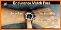 ENDURANCE Watch Face related image