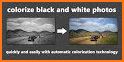 Black and White Photo Colorizer - Chromatix related image