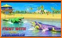 angry crocodile beach attack related image