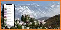 Wildflowers of Mount Everest related image