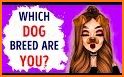 What Type Of Dog Are You? related image