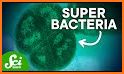 Bacteria Smasher related image