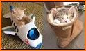 Cats are Cute: Pop Time! related image