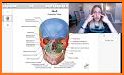 Dental Anatomy & Skull related image