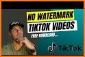Video Downloader  No Watermark - SnapTik related image