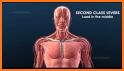 Human Anatomy 3D For Edication related image