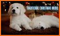 Cute Holiday Puppies Theme related image