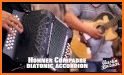 Hohner-EAD Button Accordion related image