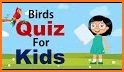 GG Birds Quiz related image