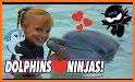 Dolphins - Play with me related image