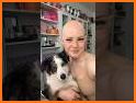 Pet Makeup Master related image