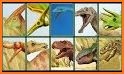 Dinosaur Jigsaw Puzzles Games related image