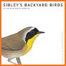 Sibley Birds of North America related image