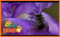 Educational Game for Kids - Bee related image