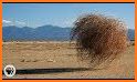 Tumbleweed related image