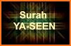 Surah Yasin (audio - translation) related image