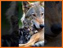 Wolfi2022 related image