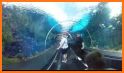VR Guide: SeaWorld, San Diego related image