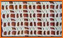 Filet Crochet Patterns (No Ads) related image